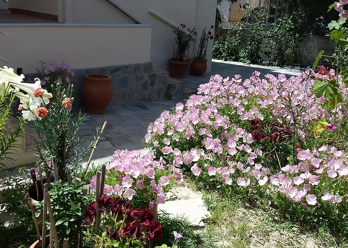 Akti Zaga Apartments